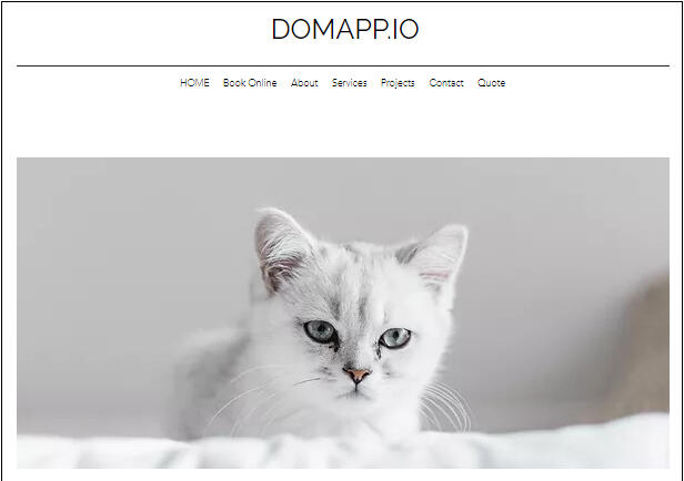 Domapp